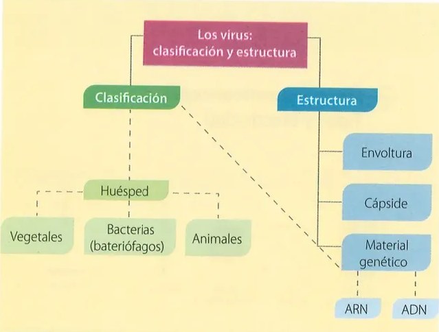 Figura 3 de Ciencias Naturales · 10 EGB · 2024