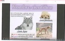 Figura 2 de Ciencias Naturales · 8 EGB · 2025