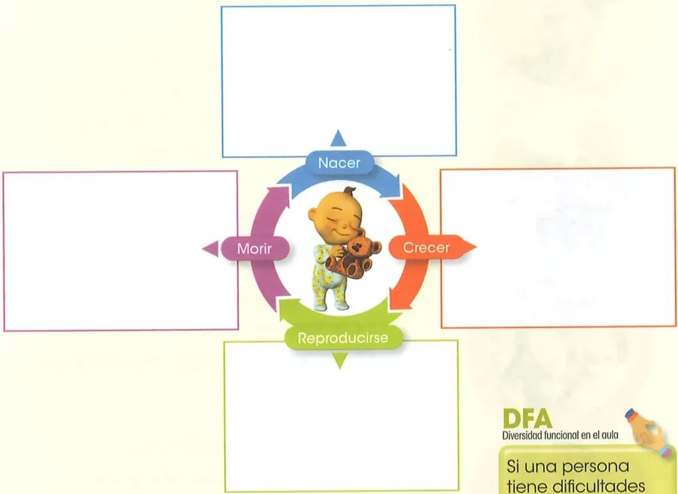 Figura 1 de Ciencias Naturales · 2 EGB · 2025