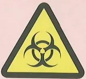 Figura 2 de Ciencias Naturales · 10 EGB · 2024