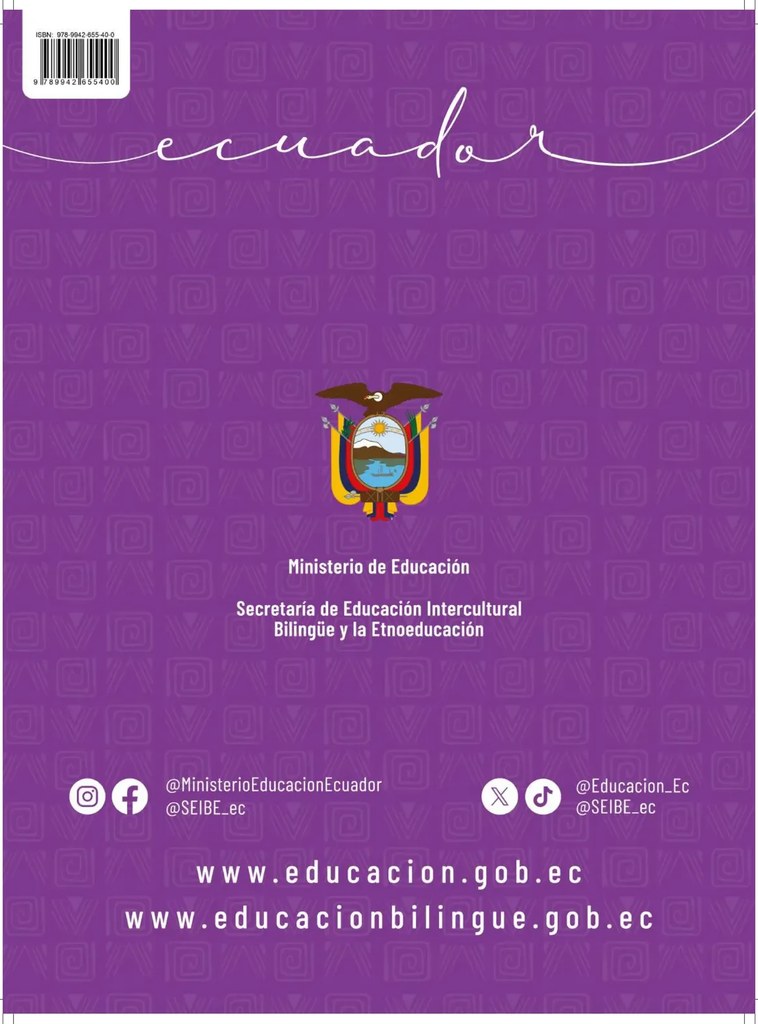 Diseño de contraportada con logotipos del Ministerio y la SEIBE.
