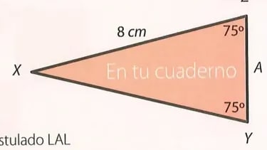Figura 9 de Matematica · 8 EGB · 2025