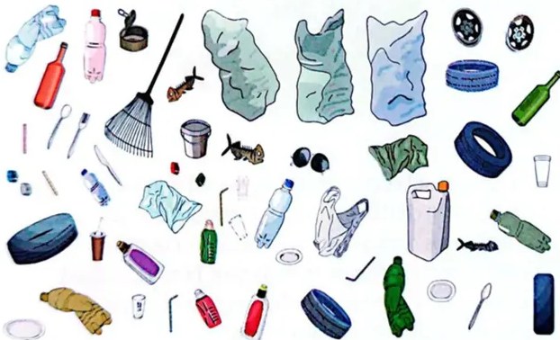 Figura 4 de Ciencias Naturales · 4 EGB · 2025