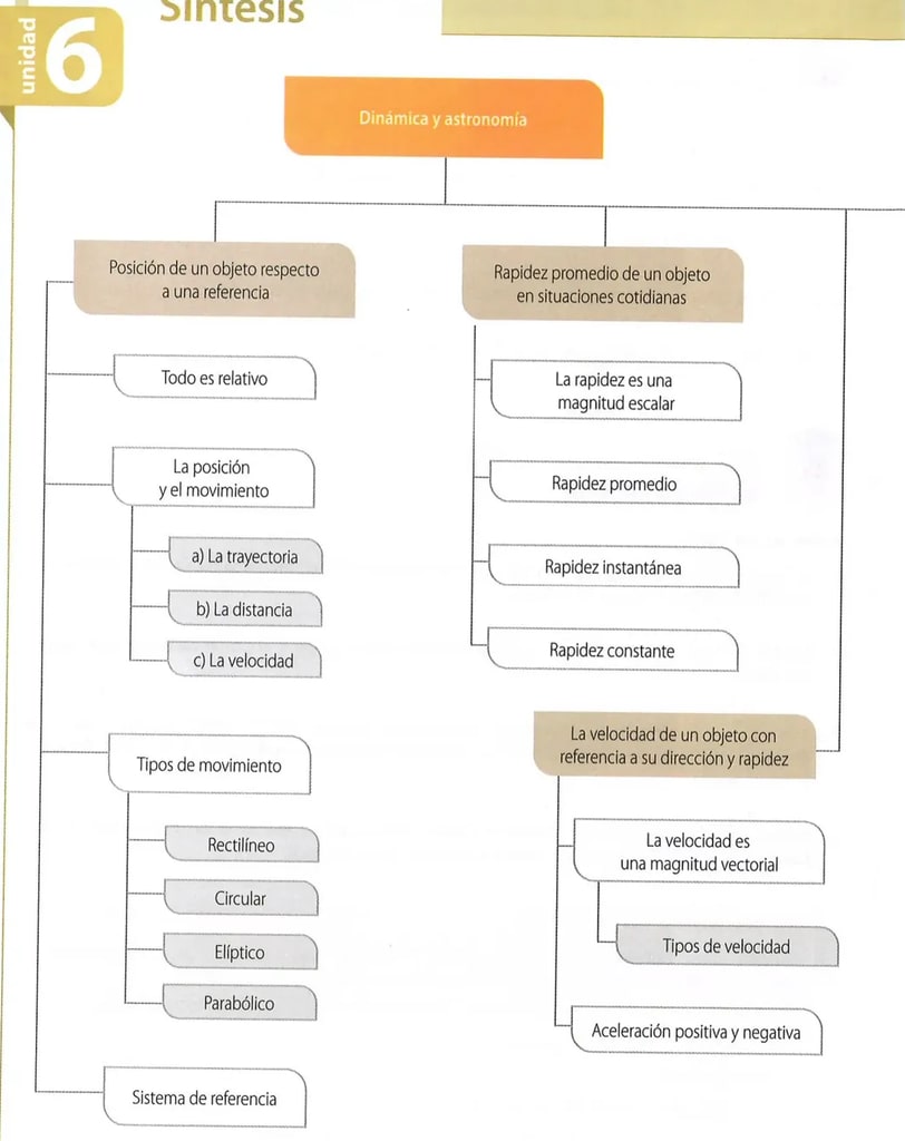 Figura 1 de Ciencias Naturales · 8 EGB · 2025