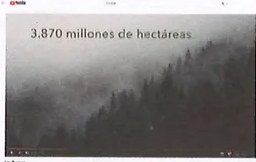 Figura 2 de Ciencias Naturales · 9 EGB · 2024