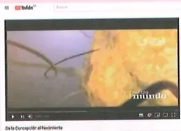 Figura 4 de Ciencias Naturales · 8 EGB · 2025