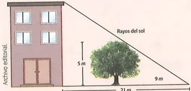 Figura 3 de Matematica · 10 EGB · 2025