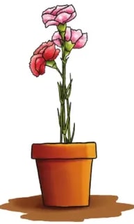 Maceta naranja con planta verde y un clavel rojo encima: ilustra la copla de los claveles.
