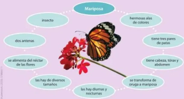 Figura 2 de Lengua Y Literatura · 5 EGB · 2024