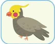 Banco de palabras verde con: chicken, dog, cat, guinea pig, hamster, bird, rabbit, fish.