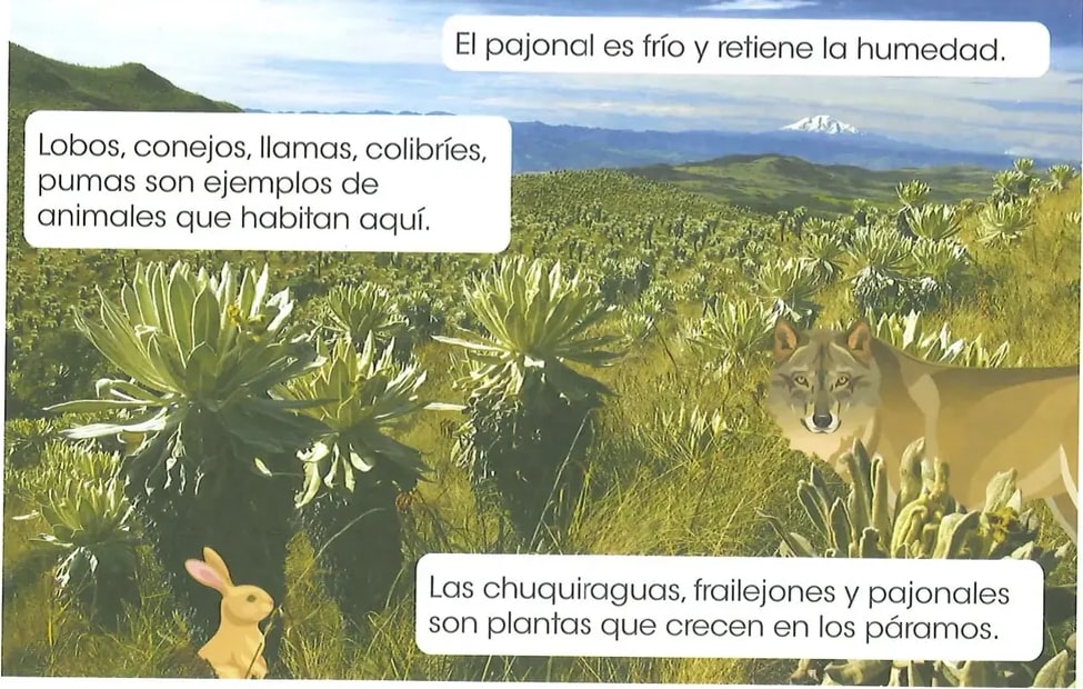Figura 1 de Ciencias Naturales · 2 EGB · 2025