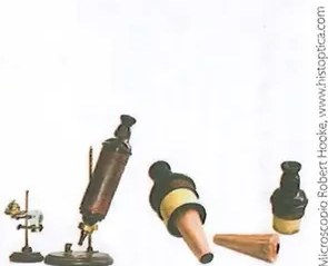 Figura 4 de Ciencias Naturales · 8 EGB · 2025