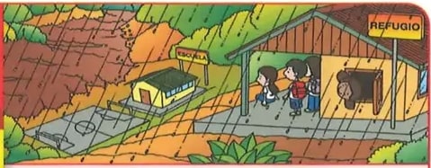 Dos tableros con instrucciones e ilustraciones de evacuación y reunión.