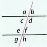 Figura 5 de Matematica · 8 EGB · 2025