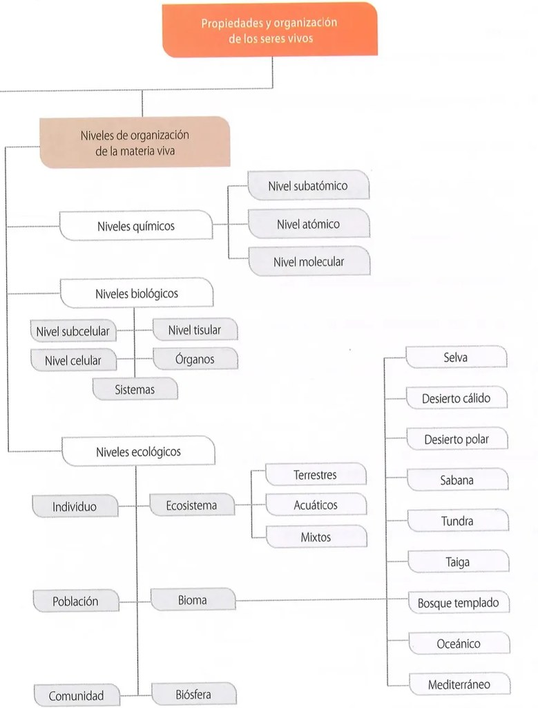 Figura 2 de Ciencias Naturales · 8 EGB · 2025