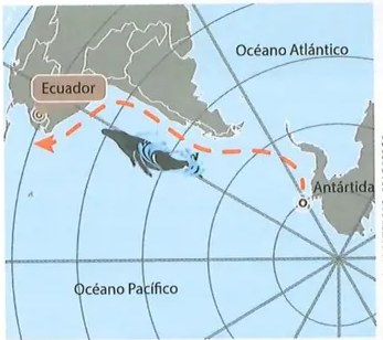 Figura 2 de Ciencias Naturales · 8 EGB · 2025