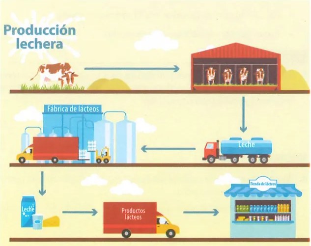 Figura 3 de Estudios Sociales · 9 EGB · 2024
