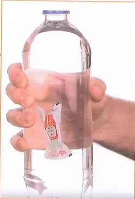 Figura 2 de Ciencias Naturales · 10 EGB · 2024