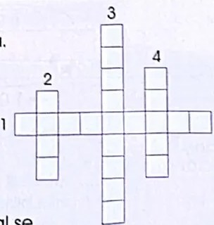 Figura 2 de Matematica · 4 EGB · 2024