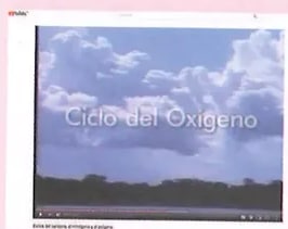 Figura 1 de Ciencias Naturales · 8 EGB · 2025
