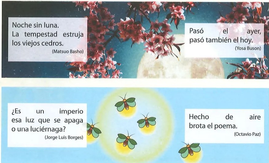 Figura 2 de Lengua Y Literatura · 7 EGB · 2024