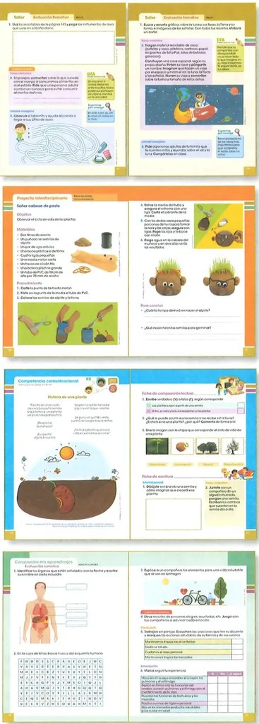 Figura 2 de Ciencias Naturales · 2 EGB · 2025