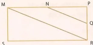 Figura 4 de Matematica · 10 EGB · 2025